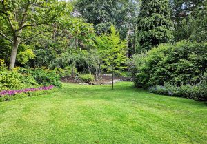 Optimiser l'expérience du jardin à Castelmoron-sur-Lot